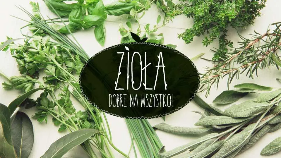 Ziołolecznictwo – wszystko, co musisz o nim wiedzieć!